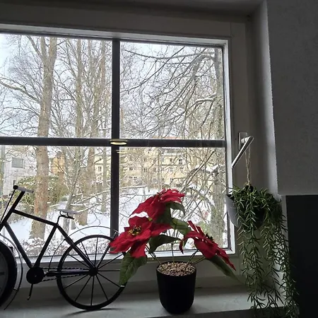 Black Forest Loft Koenigsfeld *
