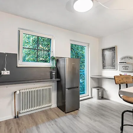 Black Forest Loft Koenigsfeld 公寓 孔菲尔德施瓦